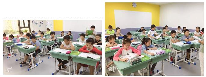 郑老师 | 20年品牌磨砺，助推中国培优教育