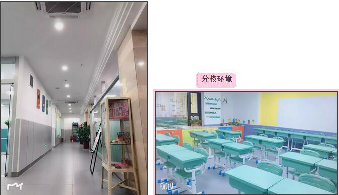 郑老师 | 20年品牌磨砺，助推中国培优教育